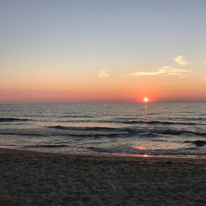 Meet your Posher, Bella